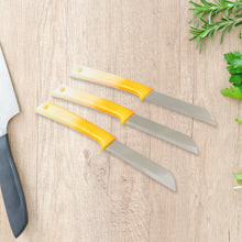 Kitchen Knife with Stainless Steel Blade (1 Pc) the24kgal