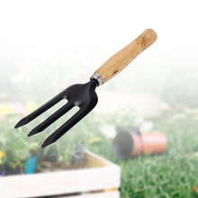 Hand Weeding Fork (Steel, Black) the24kgal