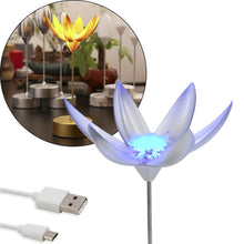 Lotus Flower Lamp with Music, Touch Open and Close, USB Rechargeable (1 Pc / Only One Color) the24kgal