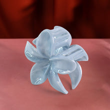 Matte Finish Hair Claw Clip (1 Pc / Mix Color) the24kgal