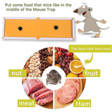 PCI Cardboard Troublegum Small Size Mouse Trap-1pc the24kgal