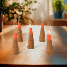 Mix Flavour Dhoop Cones, Premium Dhoop (120 GM/ Mix/ 1pc) the24kgal