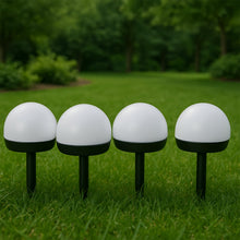 Dome Solar Garden Light Set (4 Pc) the24kgal