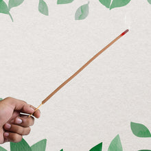 Premium Incense Sticks / Agarbatti for Everyday Use for Home, Office, Meditation and Pooja for Puja, & Other Festive Occassions, Agarbatti (10 Pcs Sticks / 40 Cm / Stand not included / Mix Flavor) the24kgal