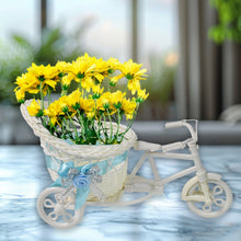 Plastic Cycle Flower vases for Home decor; Bicycle Flower Pot Stand the24kgal