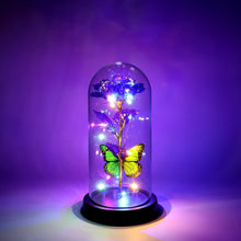 LED Preserved Rose with Colorful Butterfly in Plastic Dome (1 Pc & Mix Color) the24kgal