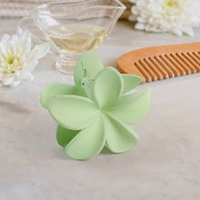Matte Finish Hair Claw Clip (1 Pc / Mix Color) the24kgal