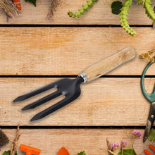 Hand Weeding Fork (Steel, Black) the24kgal