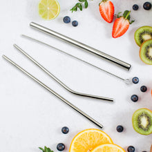 Reusable Stainless Steel Straws with Case for Drinking (4 Pc, Eco-Friendly) the24kgal