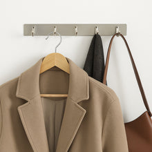 Stainless Steel Wall Mounted Coat 5 Hook Rack (26x3 / 1 Pc) the24kgal