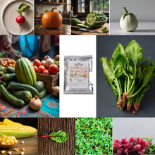 15 Varieties of Vegetable Seeds Combo (1 Pkt. / 15 Varieties) the24kgal