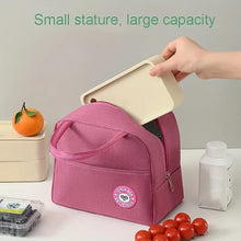 Lunch Box Bag for Women Men Insulated Lunch Bag With Zipper (1 Pc) the24kgal