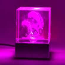 3D Mix Design LED Light Base With Speaker (1 Pc / B Grade) the24kgal