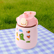 Stainless Steel Vacuum Insulated Water Bottle with Handle & Sticker (700 ML) the24kgal