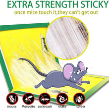 PCI Cardboard Troublegum Small Size Mouse Trap-1pc the24kgal