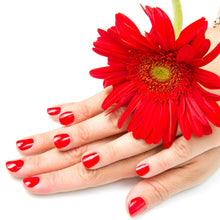 Stainless Steel Folding Portable Large Nail Clippers with Nail File (1 Pc / Mix Design) the24kgal