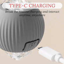 Rechargeable Interactive Cat Toy Ball with Detachable Braided Tail and LED Light (1 Pc) the24kgal