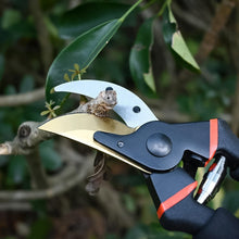 Heavy Duty Garden Pruning Shears (1 Pc) the24kgal