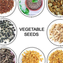 15 Varieties of Vegetable Seeds Combo (1 Pkt. / 15 Varieties) the24kgal