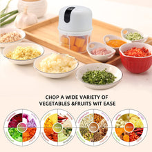 Wireless USB Rechargeable Mini Electric Garlic Machine / Chopper 3 Blades (250Ml) the24kgal