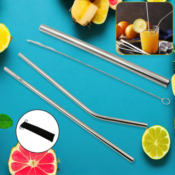 Reusable Stainless Steel Straws with Case for Drinking (4 Pc, Eco-Friendly) the24kgal