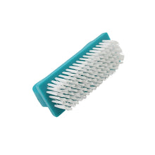 Multipurpose Scrubber Hard Brush with Handle (1 Pc / Small) the24kgal
