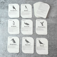 KidKraft Early Learner Educational Flashcards – 32 Birds the24kgal