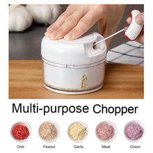 Manual Mini Food Processor Vegetable Chopper Hand Pull String Onion Chopper (1 Pc) the24kgal