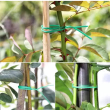 Garden Wire, Sturdy Plant Ties for Support, Garden Ties with Cutter for Tomatoes Vines, Plant Wire Tie Wire for Indoor, Outdoor, Home and Office Use (50 Mtr) the24kgal
