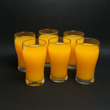 Apex Vista Unbreakable Pitcher Glass Set – 350 ML (Approx) | 6-Piece the24kgal