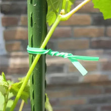 Garden Wire, Sturdy Plant Ties for Support, Garden Ties with Cutter for Tomatoes Vines, Plant Wire Tie Wire for Indoor, Outdoor, Home and Office Use (50 Mtr) the24kgal