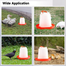Automatic Chicken Drinker Chicken Feeder with Humanized Handle the24kgal