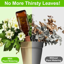 Self Plant Watering Spikes (4 Pcs Set) the24kgal