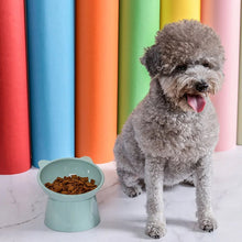 Plastic Multipurpose Bowl, Food Bowls (1 Pc) the24kgal