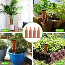 Self Plant Watering Spikes (4 Pcs Set) the24kgal