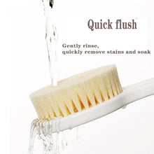 Back Scrubber for Shower Dry Body Brush Back Brush Long Handle (1 Pc / B Grade) the24kgal