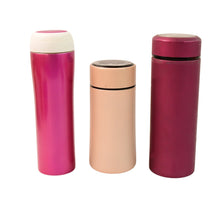 Stainless Steel Travel Water Bottle Approx 300ML(1 Pc) the24kgal