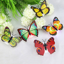 The Butterfly 3D Night Lamp Comes with 3D Illusion Design Suitable for Drawing Room, Lobby. the24kgal