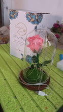 Glass Flower with Led Light Great Gift (1 Set) the24kgal