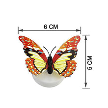 The Butterfly 3D Night Lamp Comes with 3D Illusion Design Suitable for Drawing Room, Lobby. the24kgal