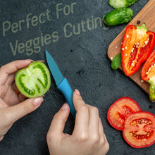 Corrugated 6Pc Kitchen Knife Set Professional Box Knife Set 6 Piece Forged Kitchen Knives with Box. the24kgal