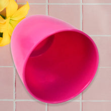 Plastic Flower Valencia (Pot) Home and Outdoor (1 Pc/Mix Colour) the24kgal