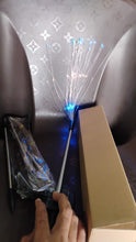 Colorful Multi Led Outdoor Solar Garden Lights (2 Pcs Set) the24kgal