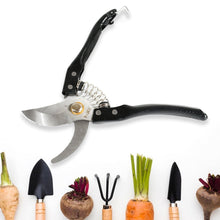Gardening Tools - Garden Shears Pruners Scissor (1 Pc) the24kgal