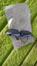 Keychain Nail Clipper | Small Nail Clippers Multicolor (1 Pc) the24kgal