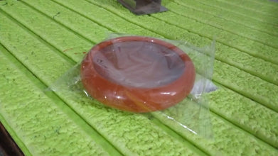 Vegetable Container Premium Fruits Saver Keeper (1 Pc) the24kgal