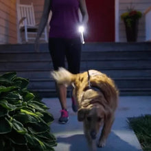 Portable Mini Torch / Flashlight LED Powerful High Lumens Pen Light Easy To Carry, Portable Pocket Compact Torch for Emergency 3 Battery operated (Battery not included / 1 pc) the24kgal