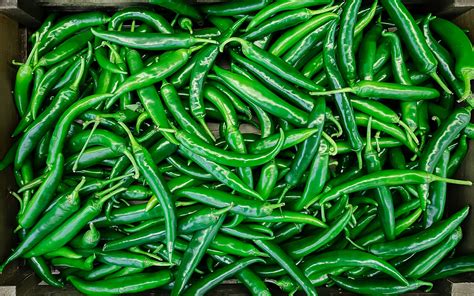 Hari Mirch | Green Chilli the24kgal