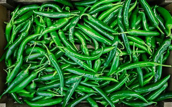 Hari Mirch | Green Chilli the24kgal