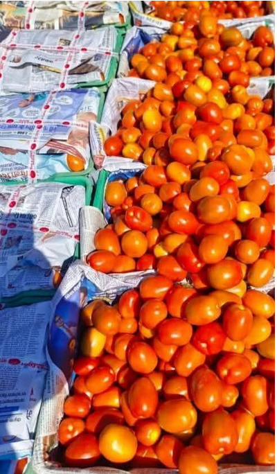 Tomato the24kgal